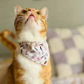 Нашийник за котка с бандана CHATOUILLE COLLAR BANDANA